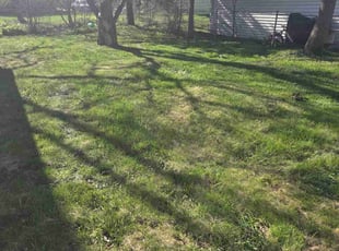 Leaf Removal by Ronnie Anderson for Armendina D. in Milwaukee, WI