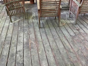 Leaf Removal by Jason Scott for Andre C. in Germantown, MD