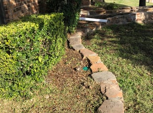 Bush Trimming by maria Hernandez for Magali B. in Carrollton, TX