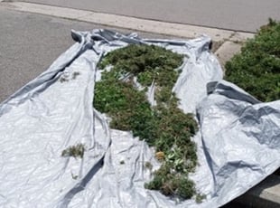 Cleanups by Arisbet Cardoza for Serena S. in Grand Rapids, MI