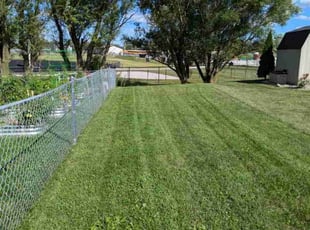 Seth B.'s Lawn Service service result