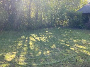 Patricia P.'s Lawn Mowing service result