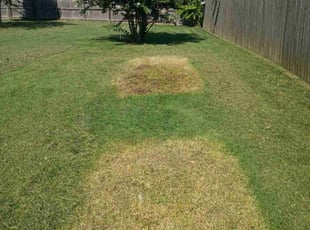 Weeding by Kendal Hermanson for Christopher W. in Gallatin, TN