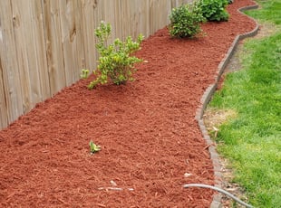 Mulching by Danielle Patterson for Kelley H. in Norfolk, VA