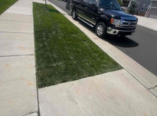 Cleanups by David Williams for Dahabe a. in Parker, CO