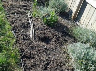Weeding by Alisha Lawson for Devin D. in Grove City, OH