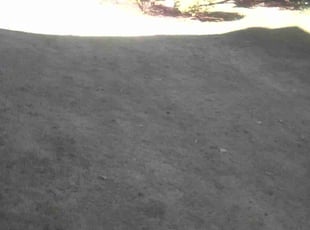 Leaf Removal by Tyrone Ramsey for Joshua S. in Rockledge, PA