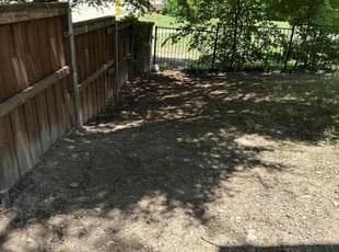 Cleanups by Rosa Valencia for Shunika L. in Plano, TX