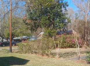 Bush Trimming by Brandon Sanders for Eric P. in Charleston, SC