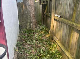 Weeding by Jay Baker for Kristen C. in Elyria, OH