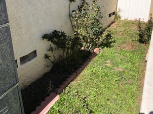Weeding by Sergio Acosta for Jennifer B. in Hawthorne, CA