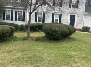Bush Trimming by Derrick Crudup for Billy W. in Raleigh, NC