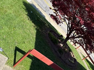Mona L.'s Grass Cutting service result