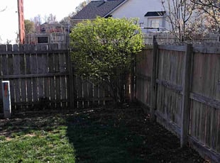 Bush Trimming by William Beacham for Shami S. in Wichita, KS
