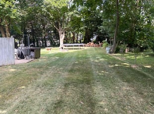 Sopenia G.'s Lawn Service service result