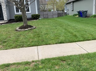 Landscaping by Kyle Flory for Christie N. in Olathe, KS