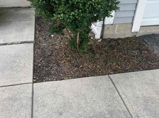 Weeding by Elton Davis Jr for PJ B. in Reynoldsburg, OH