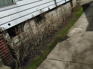Cleanups by Jacob Jumper for Megan J. in Grand Rapids, MI