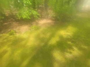 Leaf Removal by Shane Chabot for David B. in Worcester, MA