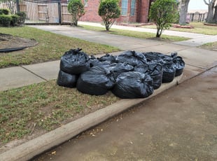 Leaf Removal by Hugo Melgar for Allette W. in Houston, TX