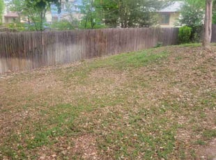 Leaf Removal by Kevin Johnson for Enrico J. in Aurora, CO