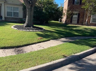 Peggy P.'s Lawn Mowing service result