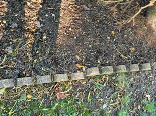 Weeding by Jeremy Oliver for Clenet B. in Laurel, MD