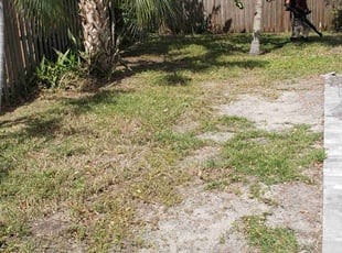 Cleanups by Curtis Campbell for Hedge M. in Sarasota, FL