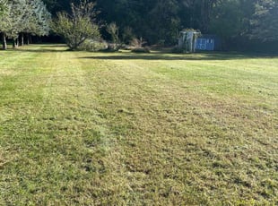 Joshua W.'s Lawn Service service result