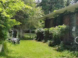 Bush Trimming by Mike Gulley for Robert T. in Birmingham, AL