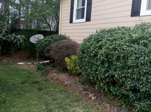 Bush Trimming by Korey McCoy for Ashley E. in Marietta, GA