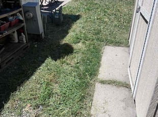 Leaf Removal by JD Lane for Chris M. in Salt Lake City, UT