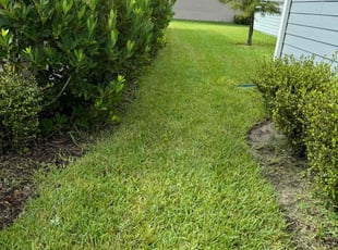 Jim F.'s Grass Cutting service result
