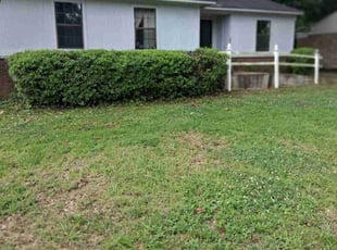 Bush Trimming by Jesse Gregory for Chrissy P. in Memphis, TN