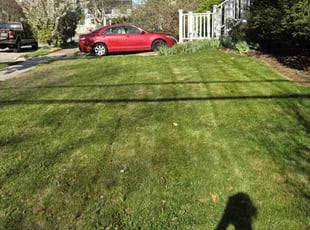 Jared S.'s Grass Cutting service result
