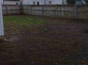 Leaf Removal by Thomas Briody for Sharon D. in Newport News, VA