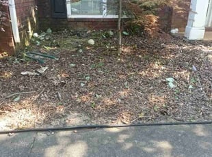 Weeding by Enrique Juarez for Todd C. in Canton, GA