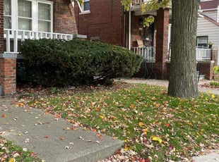 Bush Trimming by David Brooks for Mel K. in Highland Park, MI