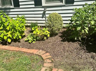 Weeding by Mercedes Mendez for Justin D. in Alexandria, VA