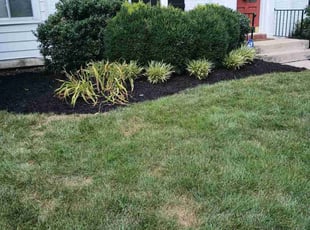 Mulching by Caleb Patton for Cindy B. in Cincinnati, OH