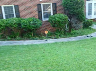 Bush Trimming by Joshua Walker for Octavius G. in Lithonia, GA
