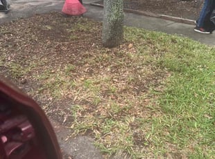 Leaf Removal by Towando Reid for Will C. in Ruskin, FL