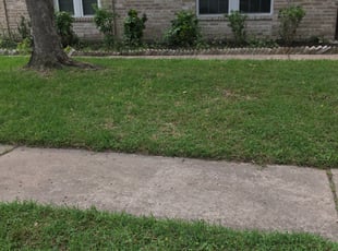 Weeding by Stephanie Bohorquez for Ashlee S. in Katy, TX