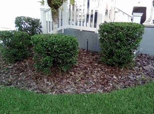 Weeding by Permon Riggins for Irene s. in Celebration, FL