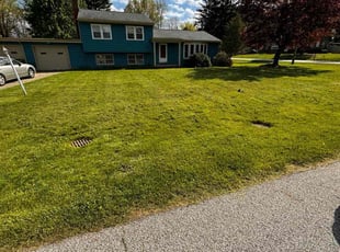 Angela L.'s Grass Cutting service result