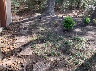 Leaf Removal by Dulce Aguirre for Troy S. in Humble, TX