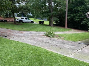 Jenny S.'s Lawn Maintenance service result