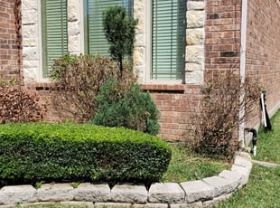 Bush Trimming by Domingo Rosas for Terrance C. in Houston, TX