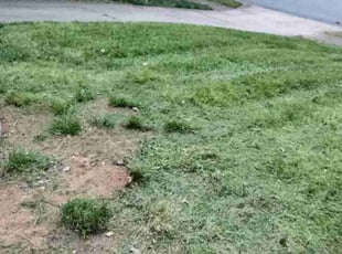 Cleanups by Alicia Sanders for Christopher S. in Charlotte, NC