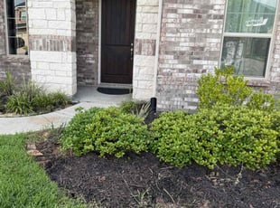 Weeding by Edwin Fernandez for Jing S. in Katy, TX